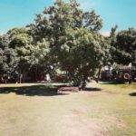 camping hotel santa catarina-Corumbá-MS-Passo do lontra-2