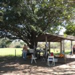 camping hotel santa catarina-Corumbá-MS-Passo do lontra-5