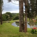 camping recanto pinhão 1