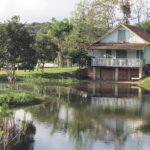 camping recanto pinhão 2