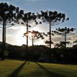 camping recanto pinhão 5