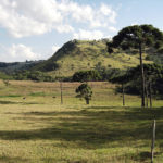 camping recanto pinhão 6