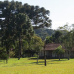 camping recanto pinhão 7