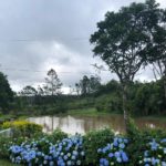 camping sitio colina-presidente nereu-sc-8
