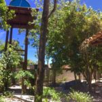 glamping da mata-caraíva-ba-7