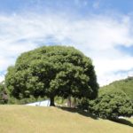 Apoio RV – Hotel Termas da Guarda – Tubarão 4