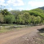 Camping Parque das Laranjeiras-Tres Coroas-RS-6