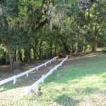 Camping Parque das Laranjeiras-Tres Coroas-RS-7