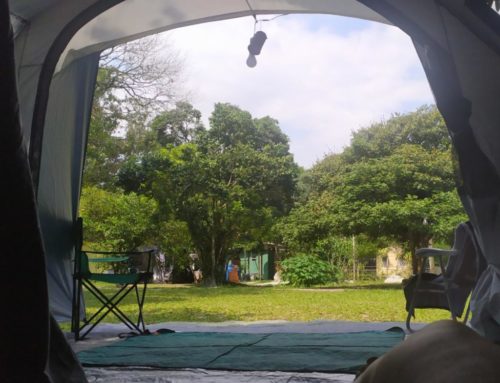 Camping Recanto Caiçara-bertioga-sp-foto Márcia Rocha Miranda-1