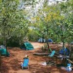 Camping Recanto Encantado-Ubatumirim-Ubatuba-SP-5
