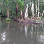 Camping Recanto LP-Bodoquena-MS-2