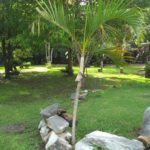 Camping Recanto LP-Bodoquena-MS-3