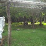 Camping Recanto LP-Bodoquena-MS-4