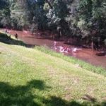 Camping Recanto Passa Cinco-ipeúna-SP-3