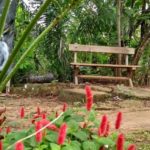 Camping Sitio PAssarim-Rio Verde de MAto Grosso-MS-6