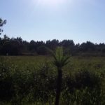 Surf Camping Vovó Rô-Guarda do Embaú-Palhoça-SC-3