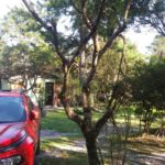 Surf Camping Vovó Rô-Guarda do Embaú-Palhoça-SC-5