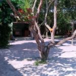 camping Sonho Dourado-Ilha do MEL-PR-11