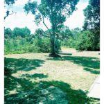 camping da mari-ilha do cardoso-sp 6