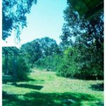 camping da mari-ilha do cardoso-sp 7