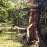 camping da terra-paraty-mirim-rj-1