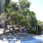 camping espaço verde-guarda do embaú-palhoça-sc-2