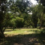 camping recanto caiçara-bertioga-sp