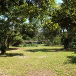 camping recanto caiçara-bertioga-sp 2