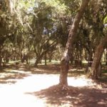 camping recanto da amizade-Porto Alegre-RS-8