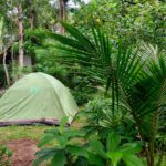 ping da terra-paraty-mirim-rj-