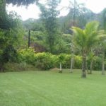 Camping Biguidi-Praia do Sono-Paraty-RJ-8