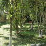 Camping Da Vovó Kuki-morretes-pr-10