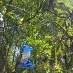 Camping Da Vovó Kuki-morretes-pr-6