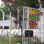 Camping Odoya-Itacaré-BA-10