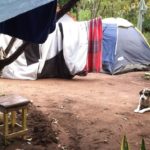 Camping Permacultural Filhos da Floresta-Caete acu-chapada diamantina-ba-7