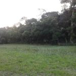 Camping Recanto Gaúcho-pontal do paraná-pr-1