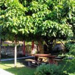 Camping Recanto dos Pássaros-Boipeba-ba-6