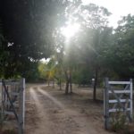 Camping Sitio Santo Antonio-itaporanda dajuda-se-11