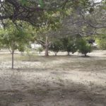 Camping Sitio Santo Antonio-itaporanda dajuda-se-15