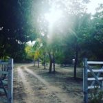 Camping Sitio Santo Antonio-itaporanda dajuda-se-2