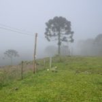 Camping da Ronda-Bom JArdim da Serra-14