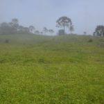 Camping da Ronda-Bom JArdim da Serra-15