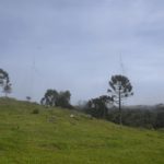 Camping da Ronda-Bom JArdim da Serra-16