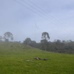Camping da Ronda-Bom JArdim da Serra-20