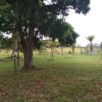 camping Casa Laranja-Búzios-rj-15