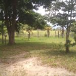 camping Casa Laranja-Búzios-rj-18