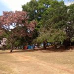 camping cata vento hostel-alto paraíso de goiás-chapada dos veadeiros-GO-6