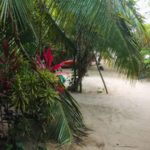 camping do jesus – savio-maragogi-al-3