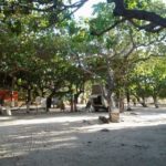 camping do tiao-jijoca de jericoacoara 2