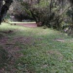 camping moinho das pedras-Pelotas-rs-1